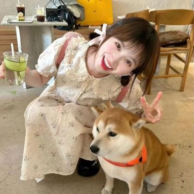 情探