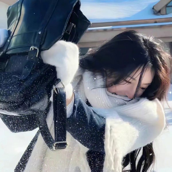 完全精神手册